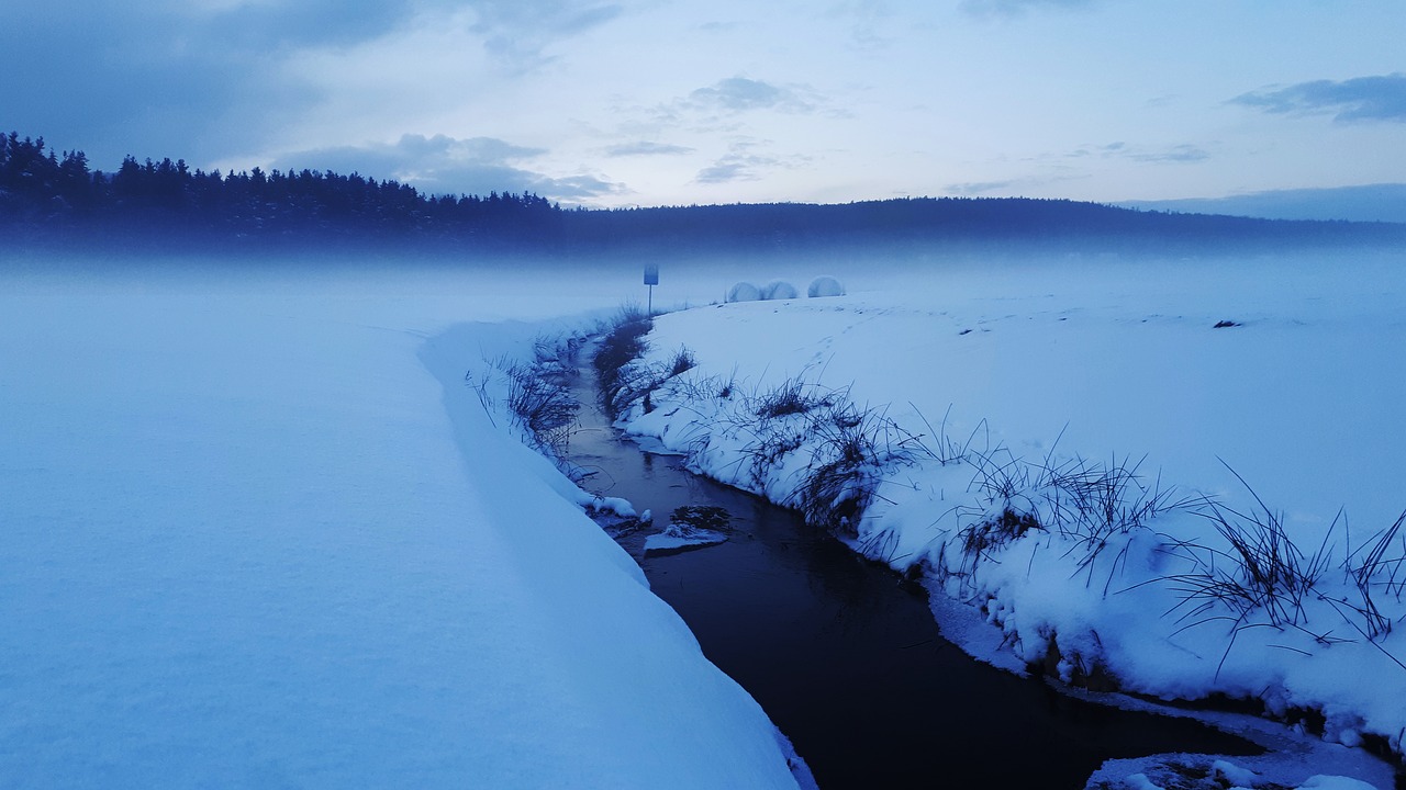 winter  bach  forest free photo