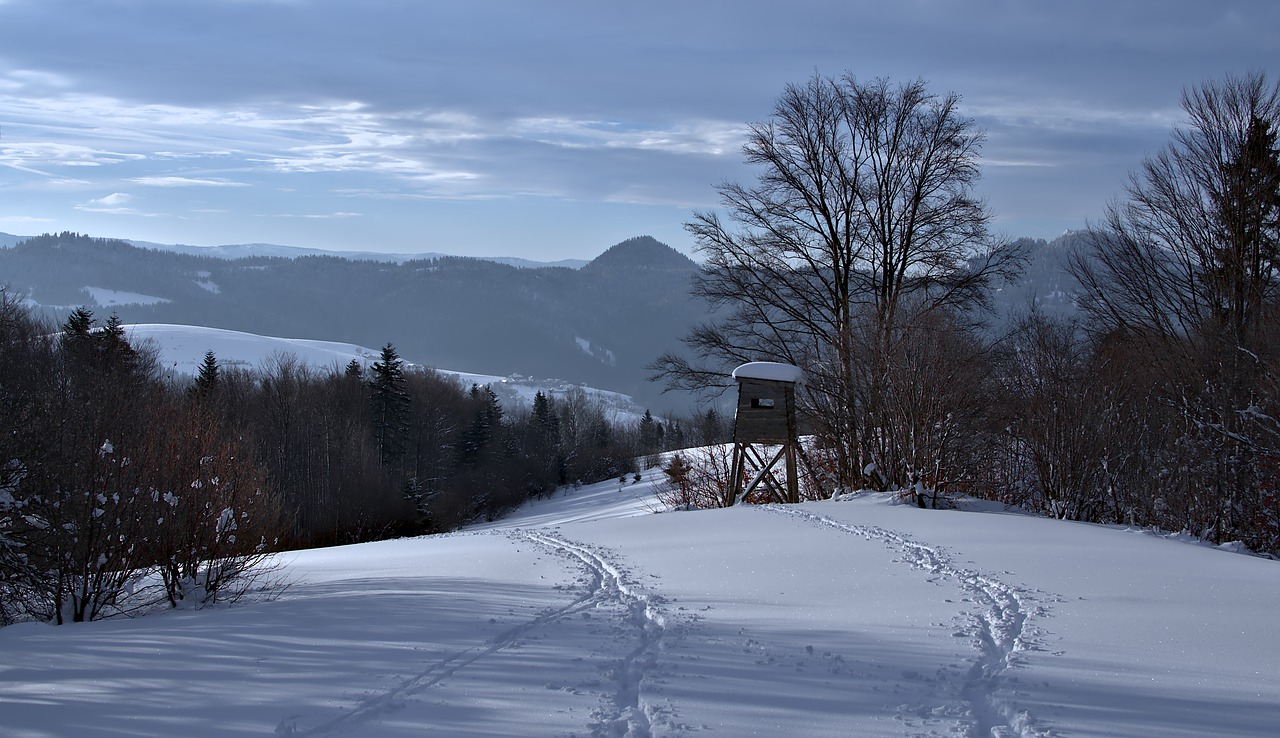 winter  forest  mountains free photo