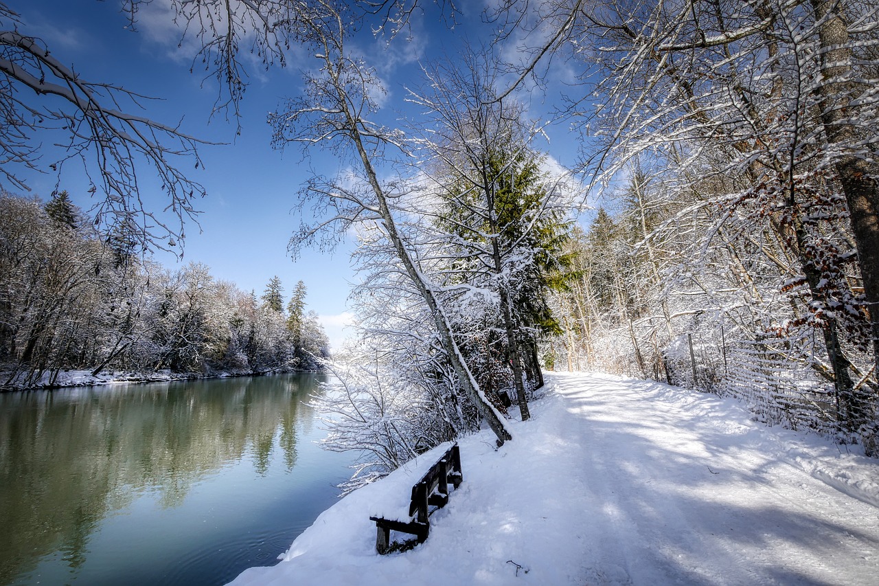 winter  snow  nature free photo