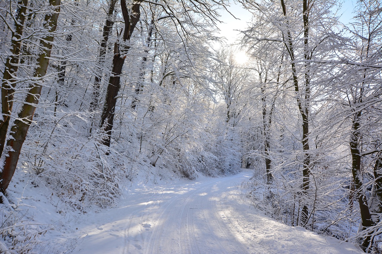 winter  away  snow free photo