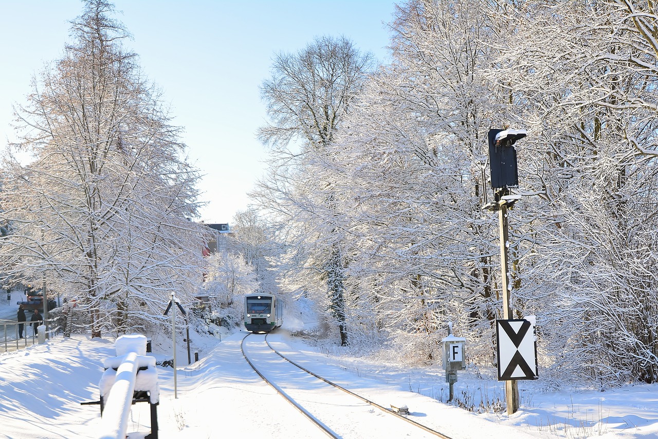 winter  train  railway line free photo