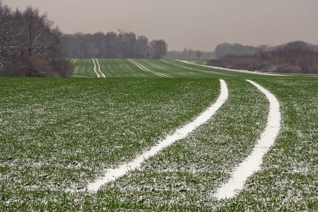 winter  landscape  snow free photo