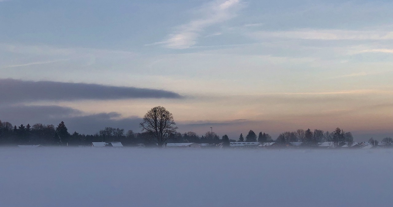 winter  snow  nature free photo