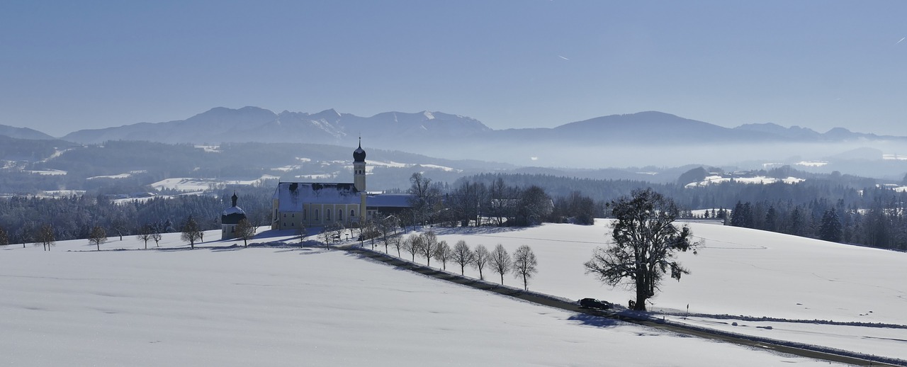 winter  snow  nature free photo