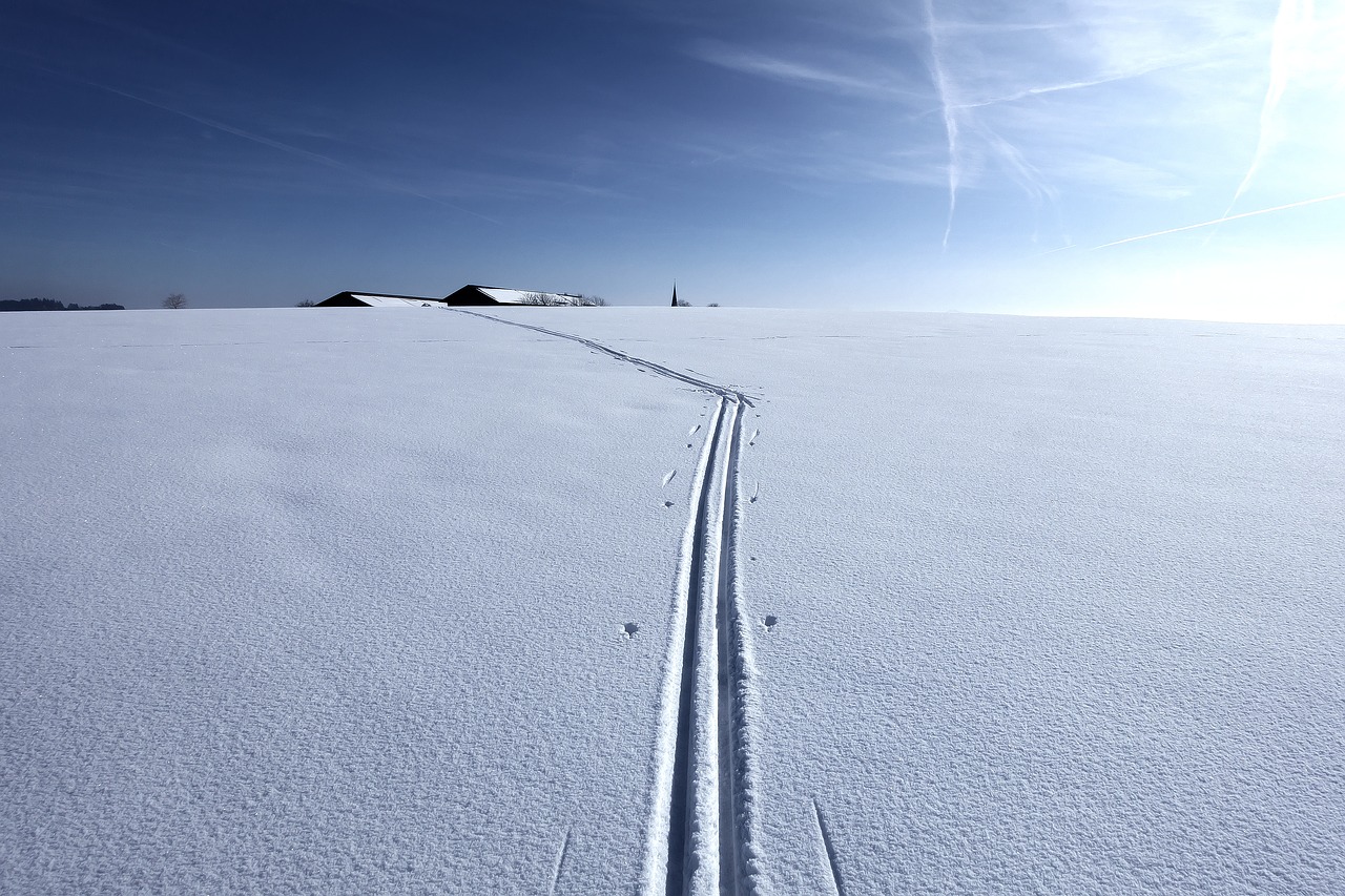 winter  snow  cross-country skiing trail free photo