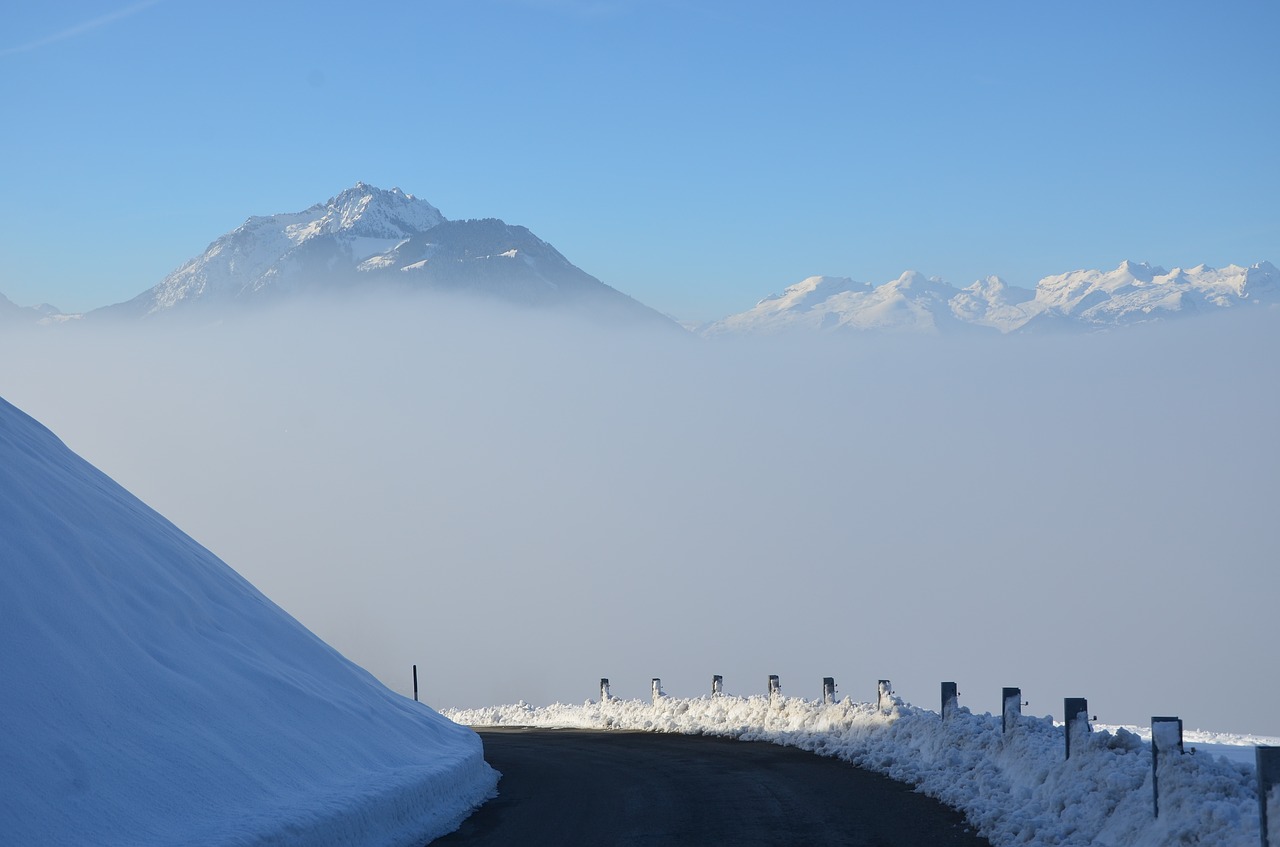 winter  snow  fog free photo