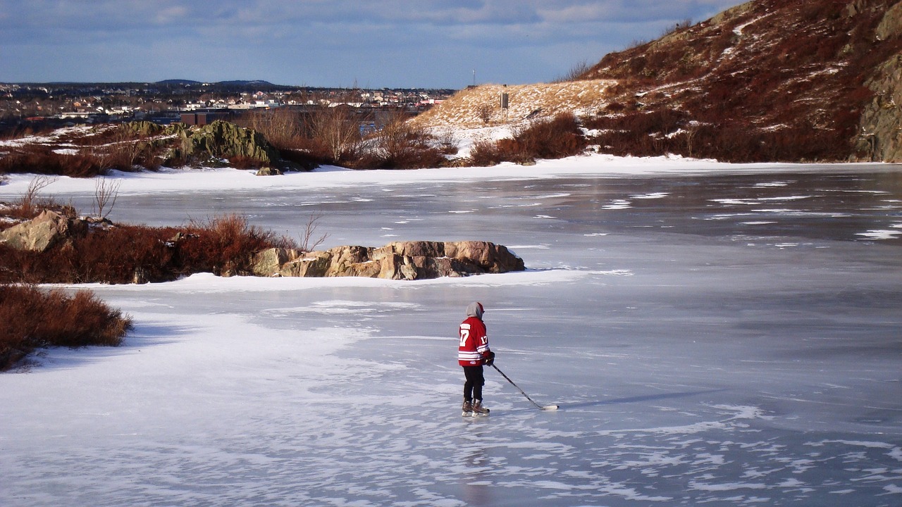 winter  landscape  pond free photo