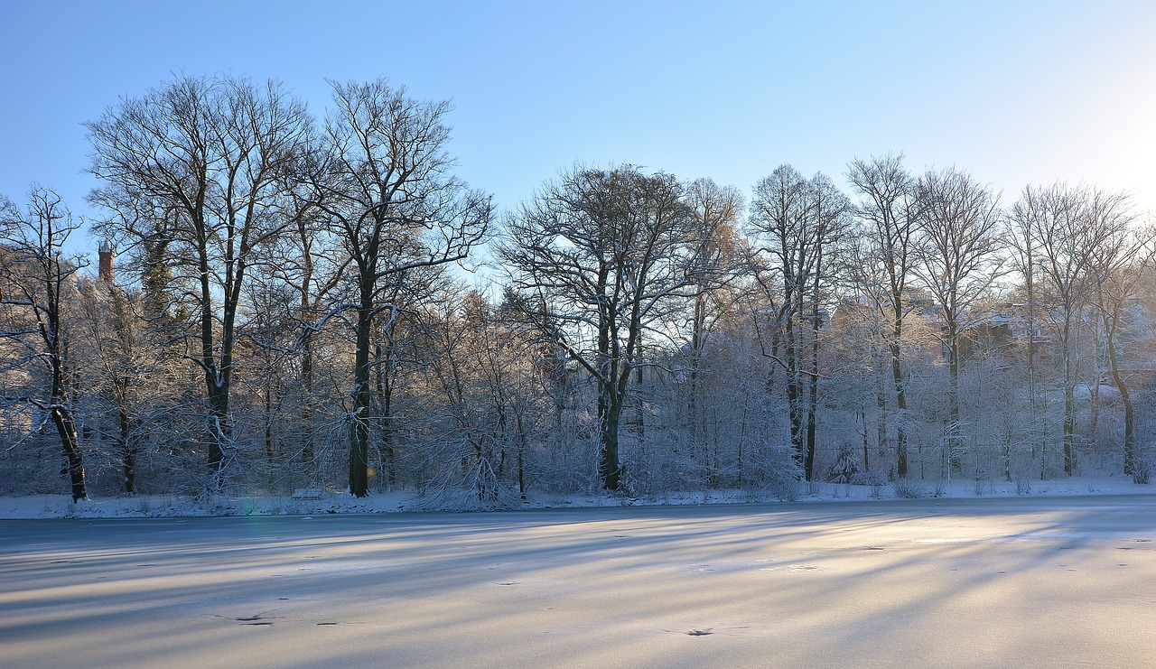 winter  park lake  frozen free photo