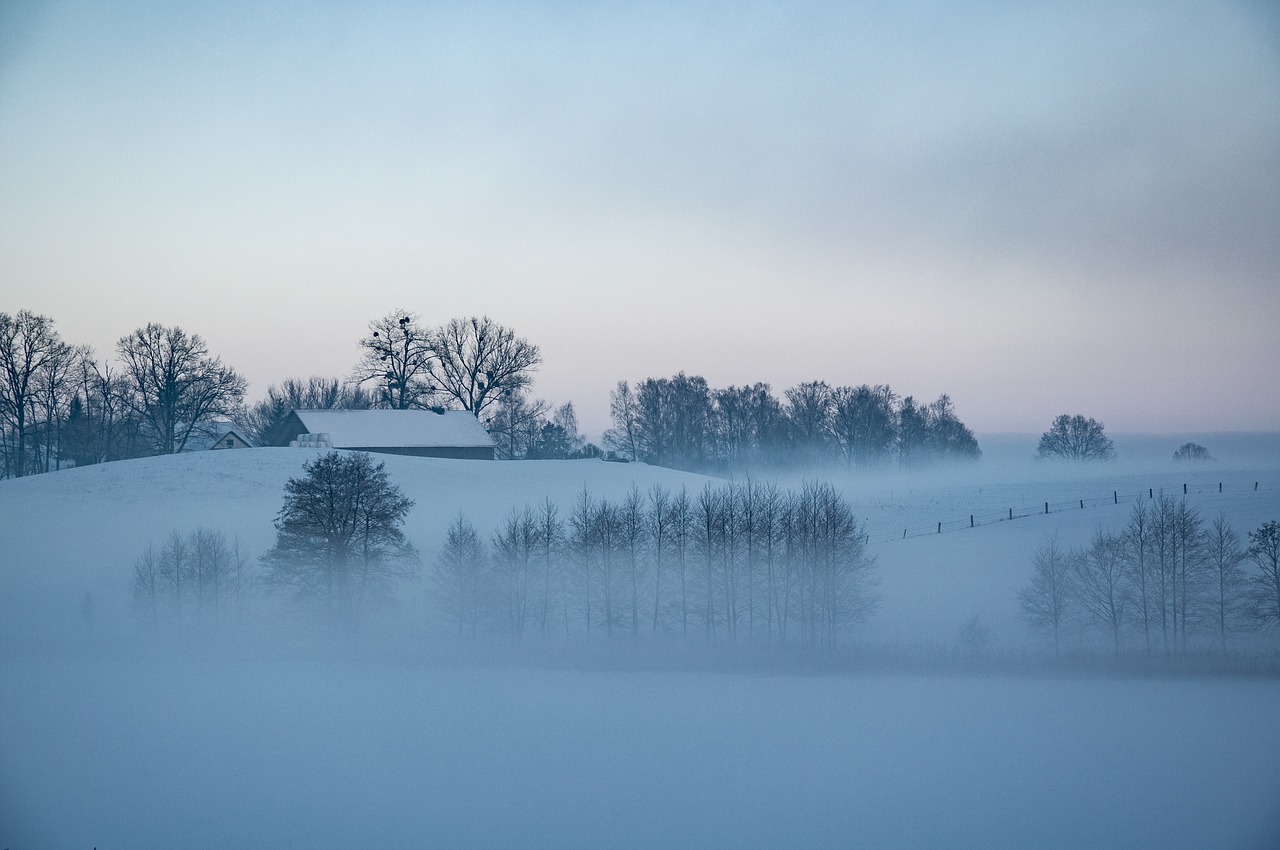 winter  poland  masuria free photo