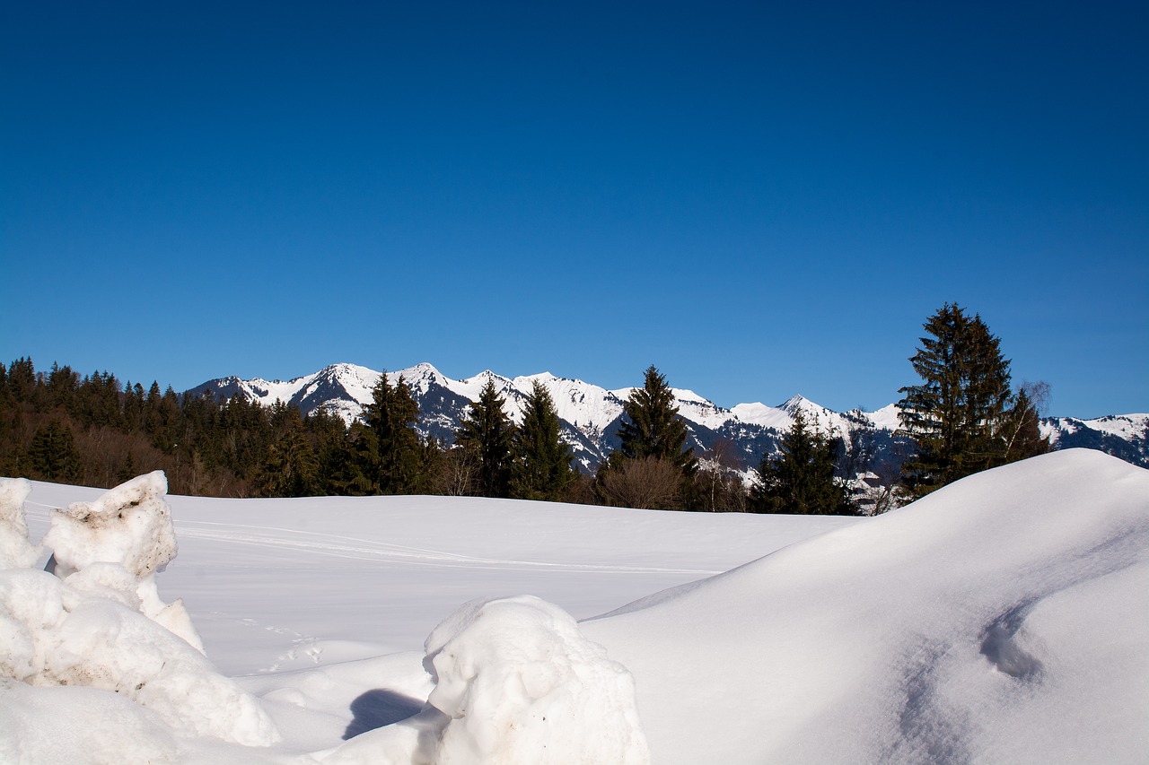 winter  snow  snow landscape free photo