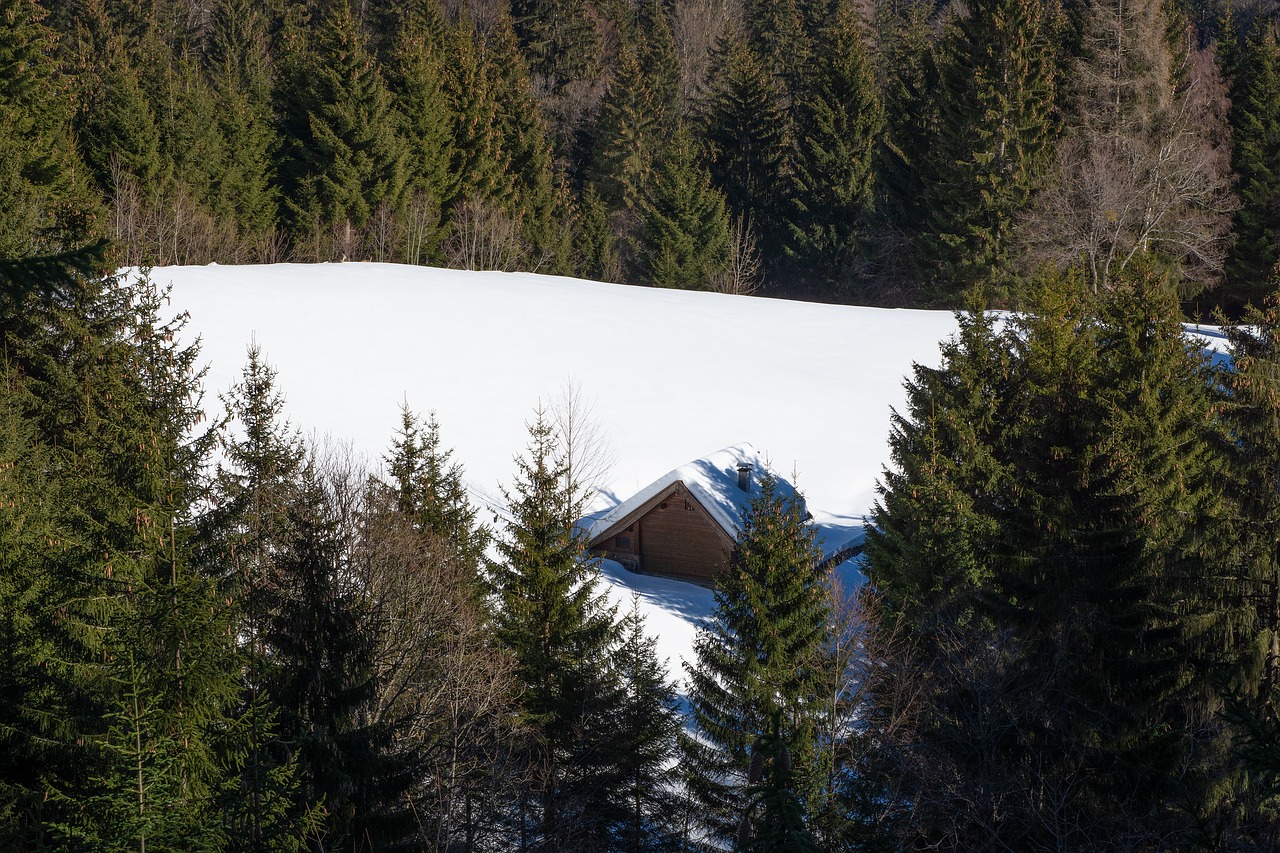 winter  landscape  wintry free photo