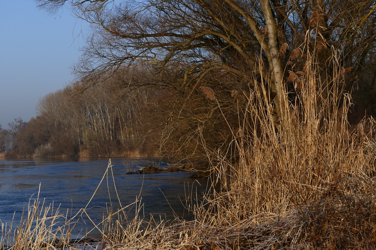 winter  nature  shore free photo