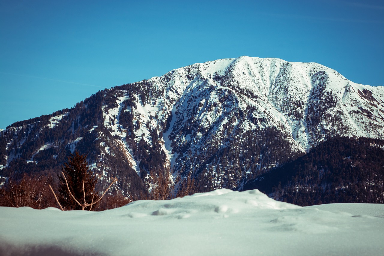 winter  landscape  wintry free photo