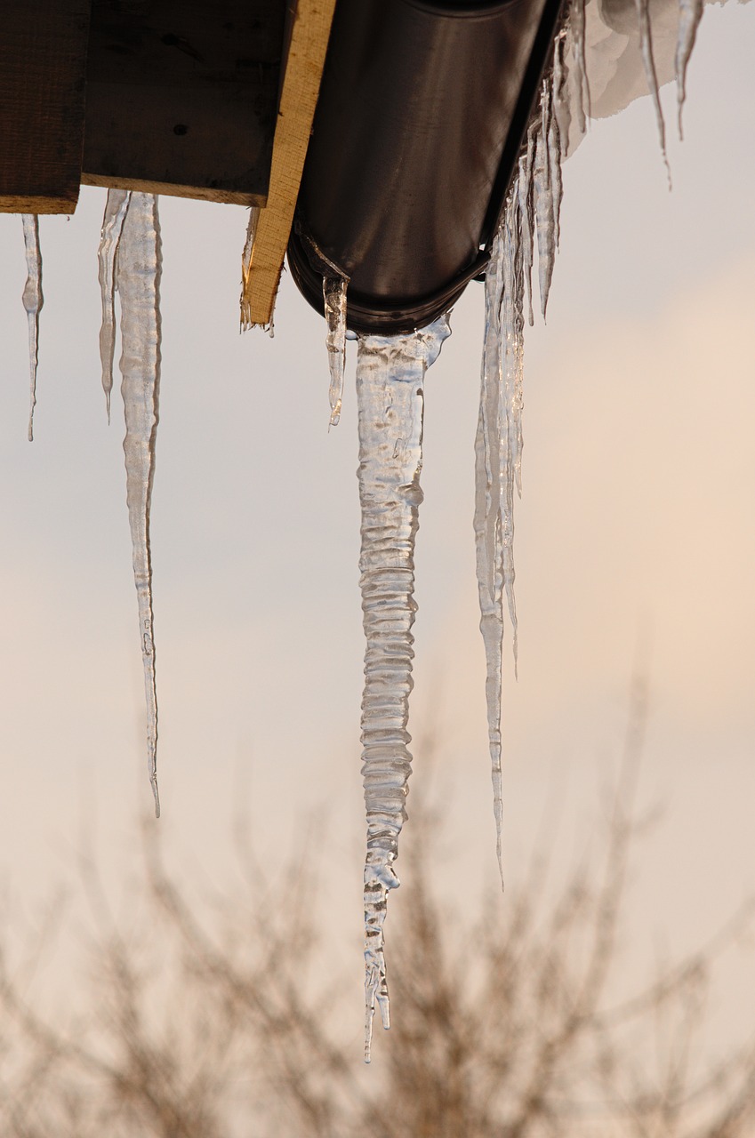winter  icicle  frost free photo