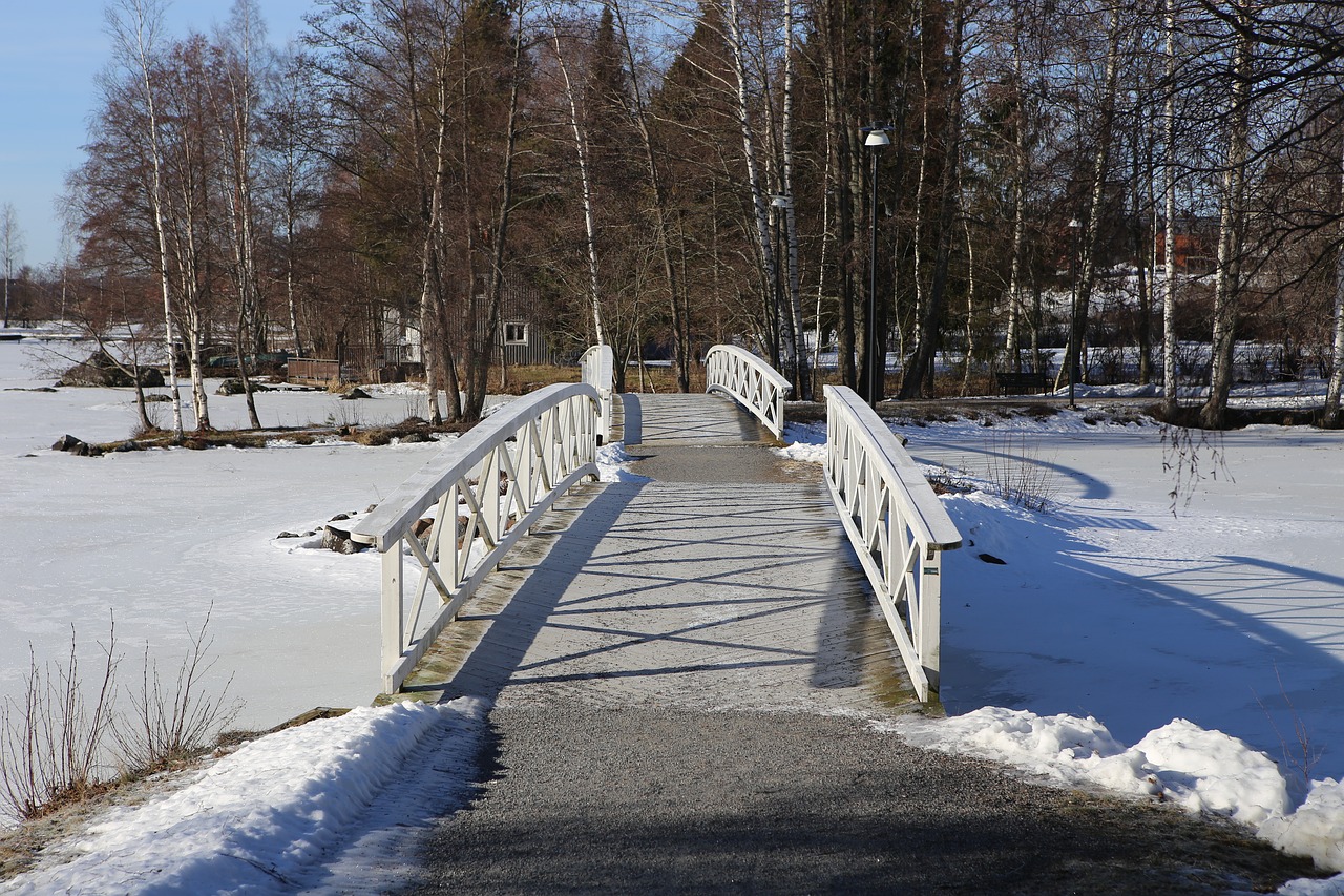 winter  snow  landscape free photo