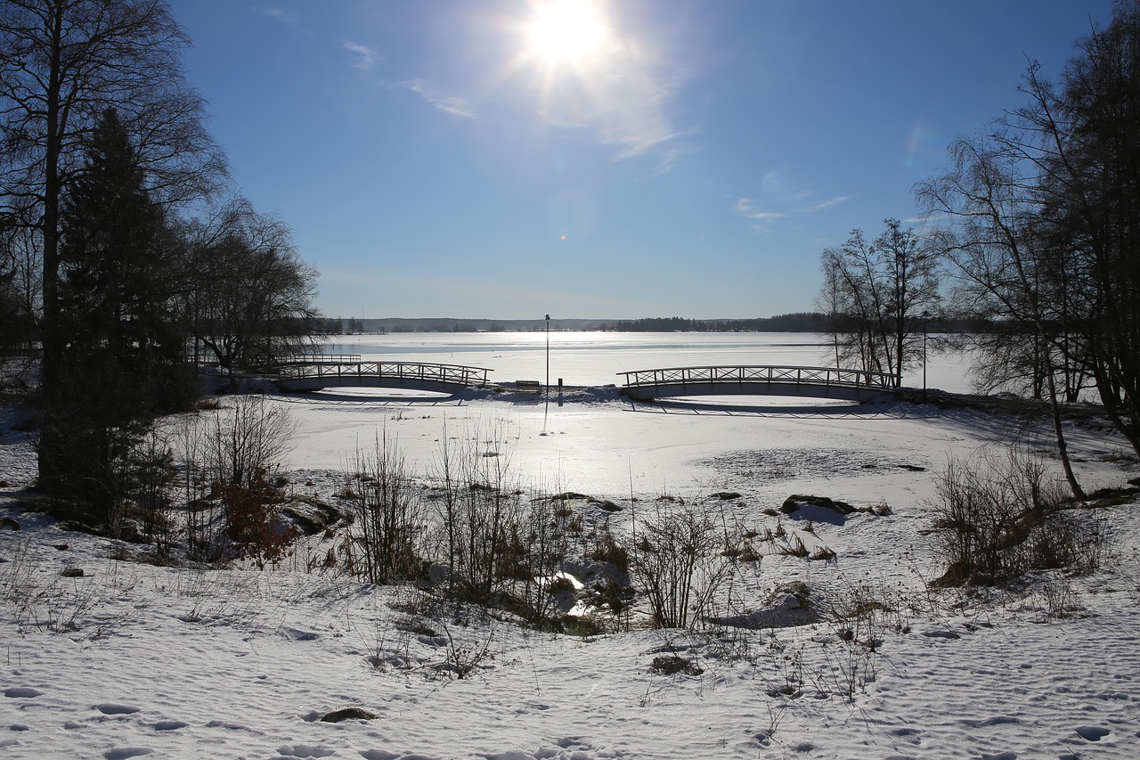 winter  snow  landscape free photo