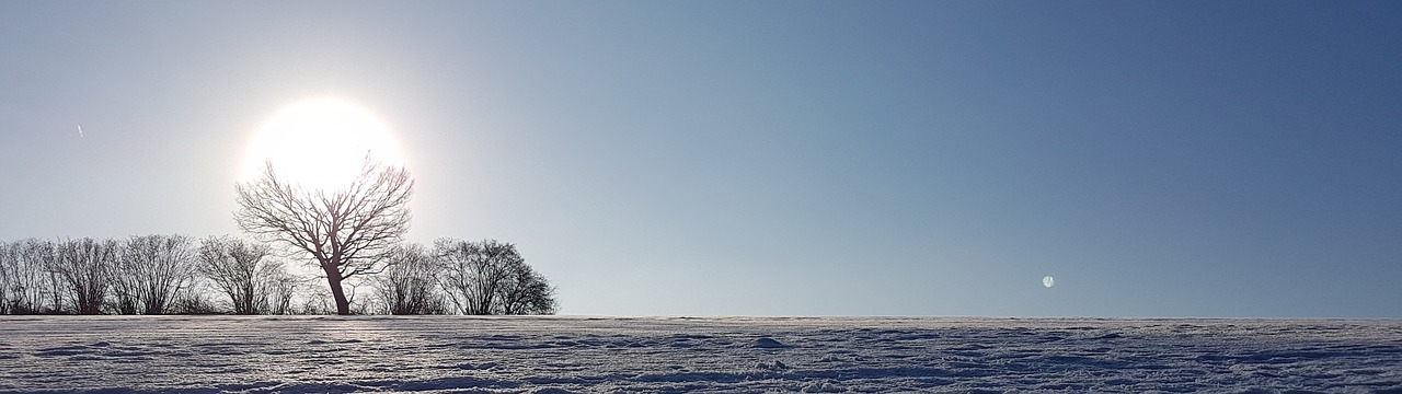 winter  landscape  snow free photo