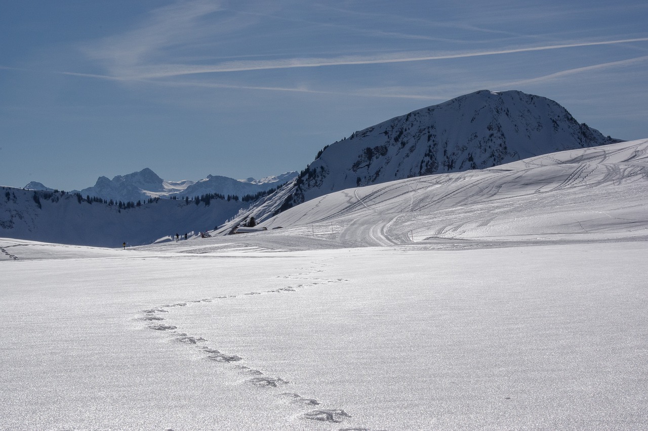 winter  snow  sky free photo