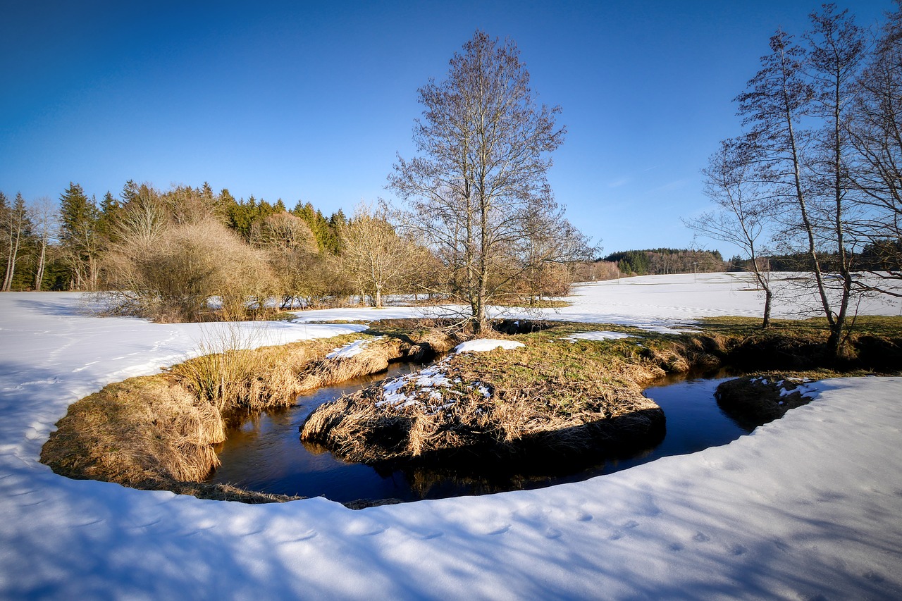 winter  bach  snow free photo