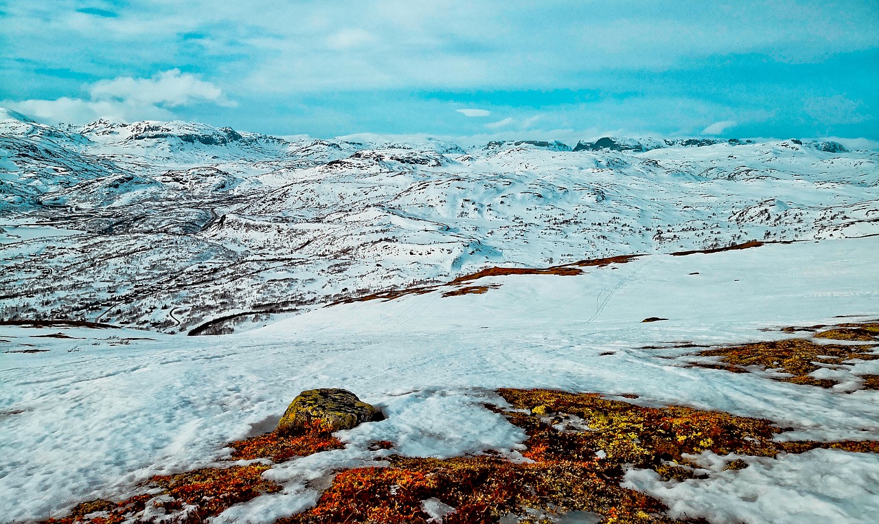 winter  mountain  cold free photo