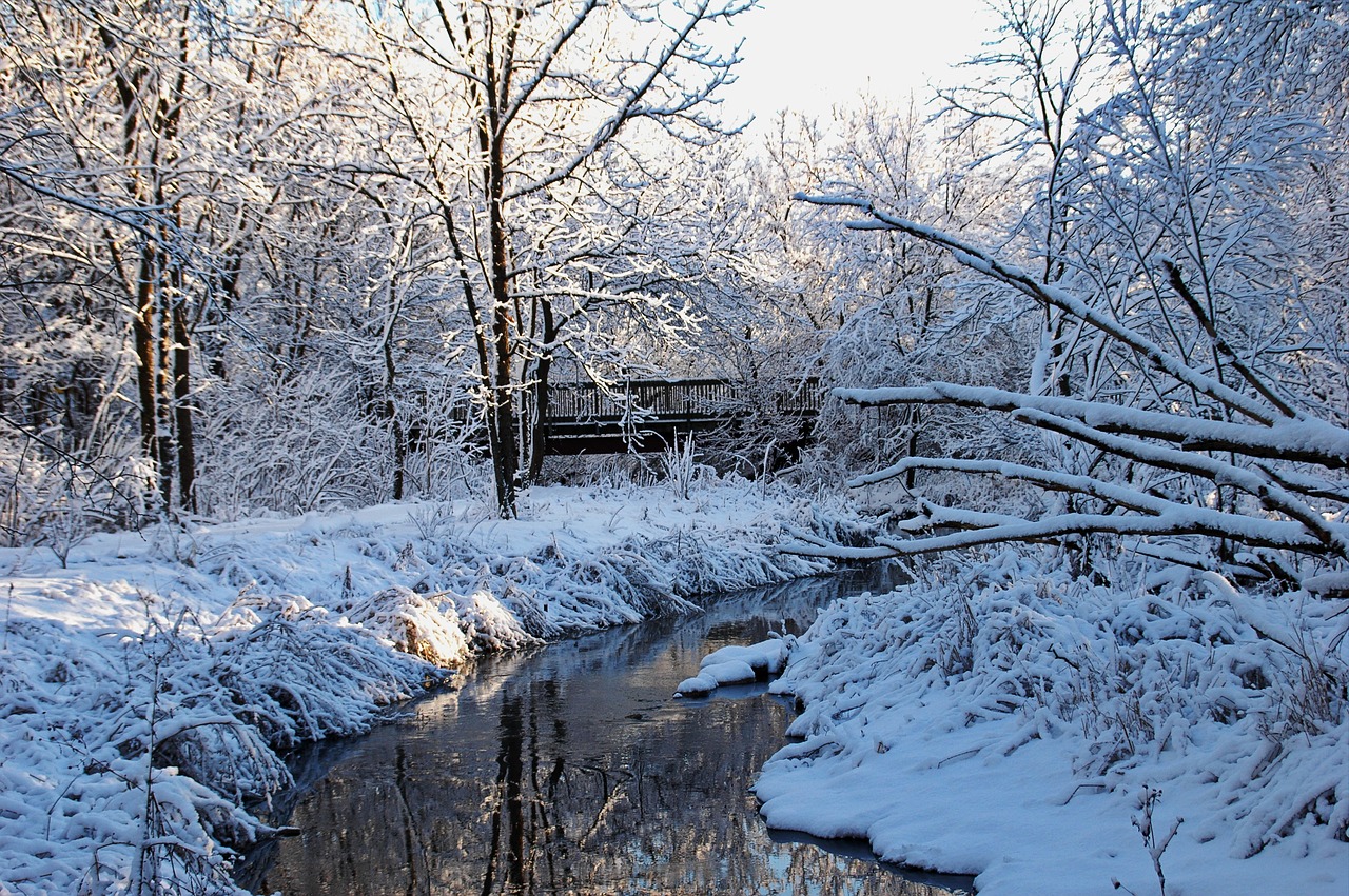 winter  bridge  water free photo