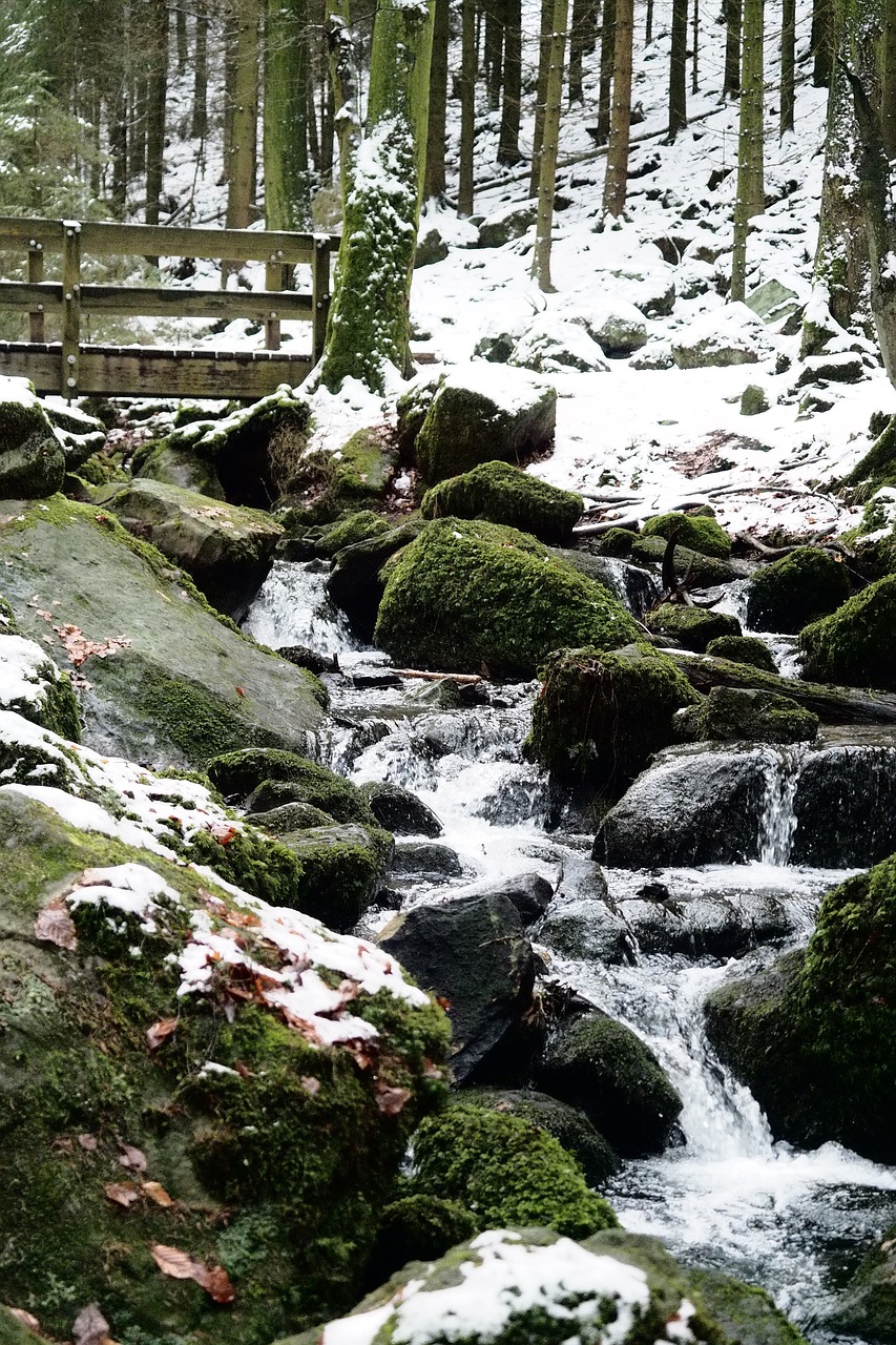 winter  bach  bridge free photo