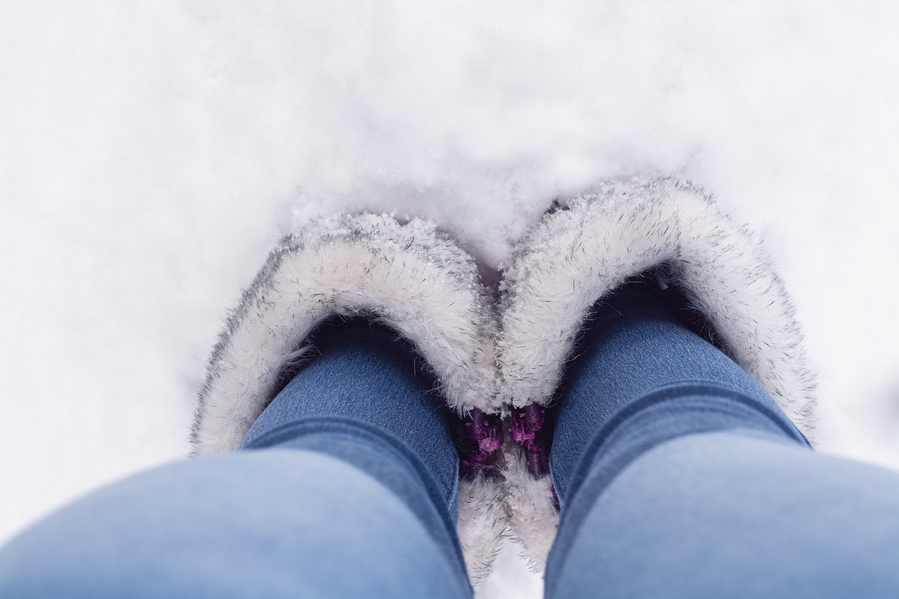 winter  snow  shoes free photo