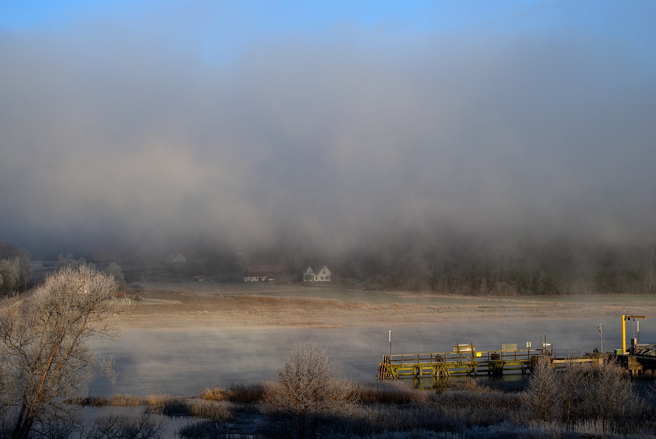 winter  mist  water courses free photo