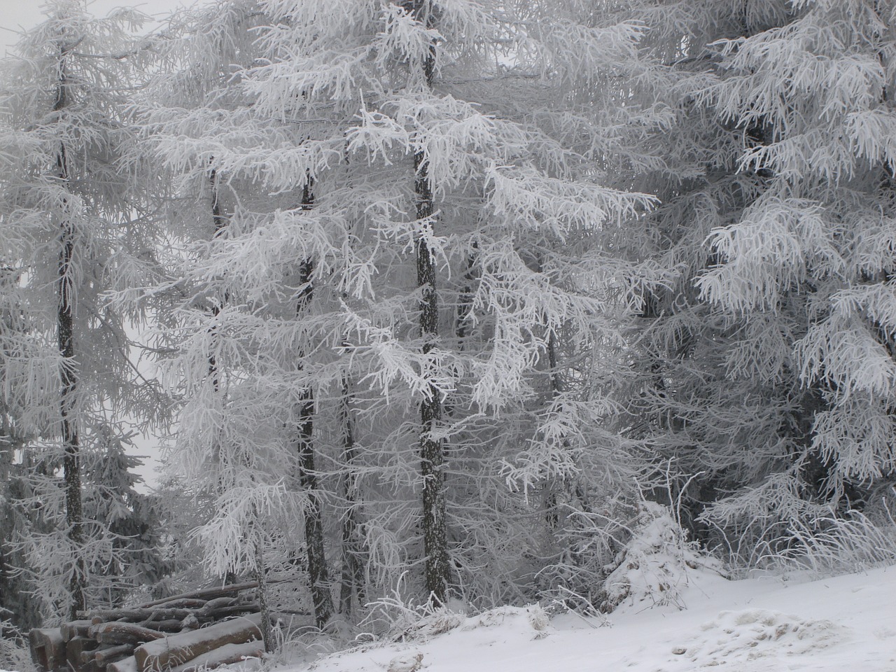 winter mountains snow free photo