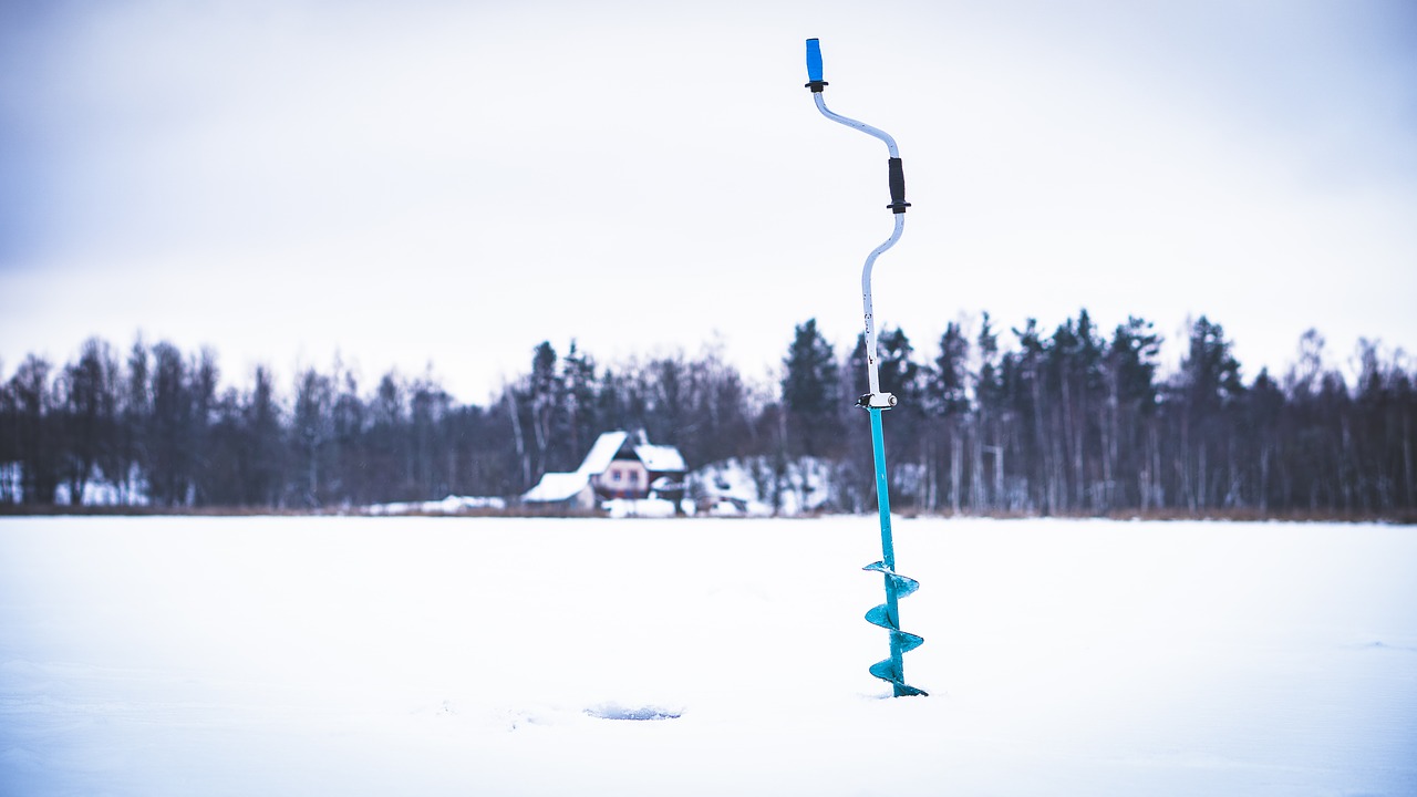 winter  snow  sky free photo