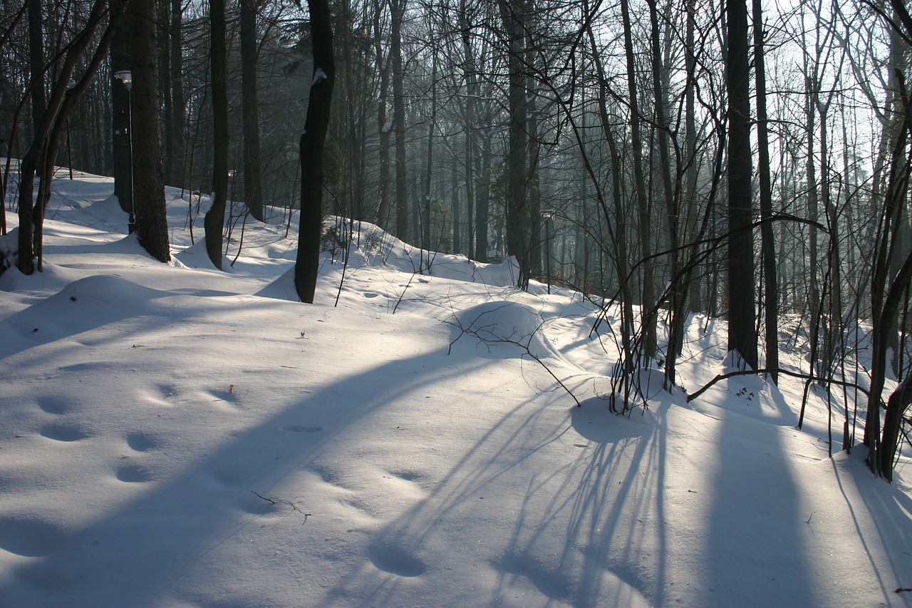 winter  mountains  snow free photo