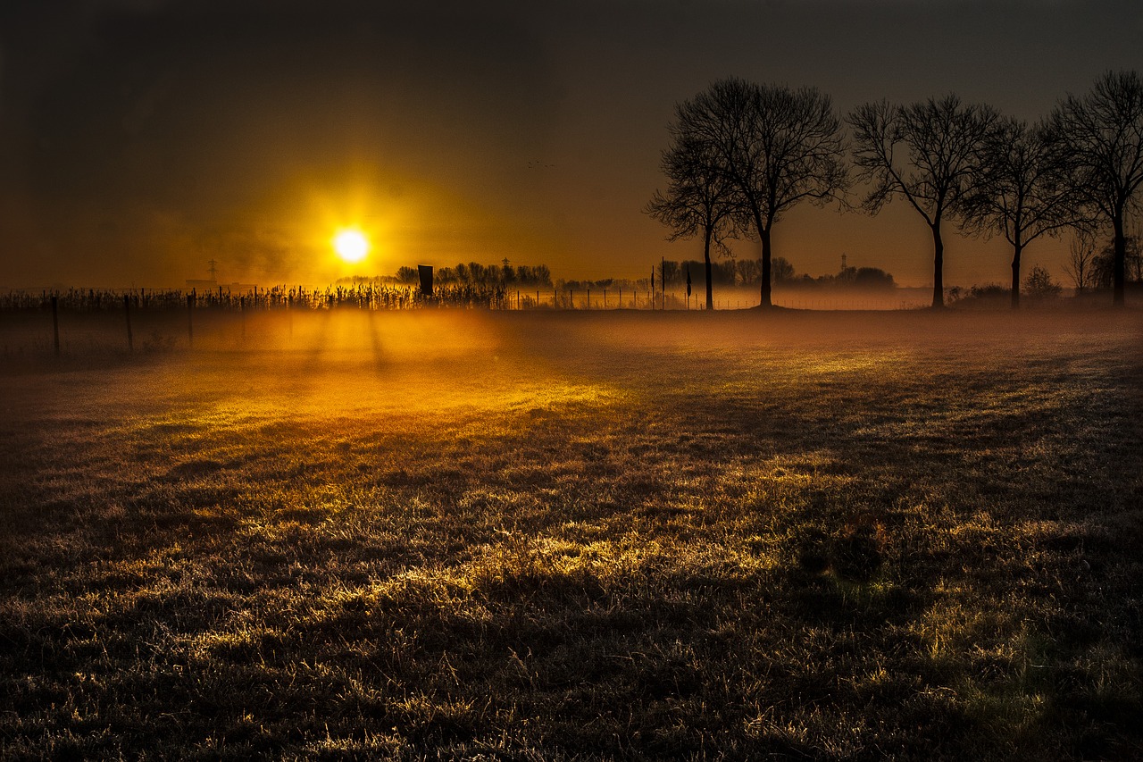 winter  sun  morning free photo