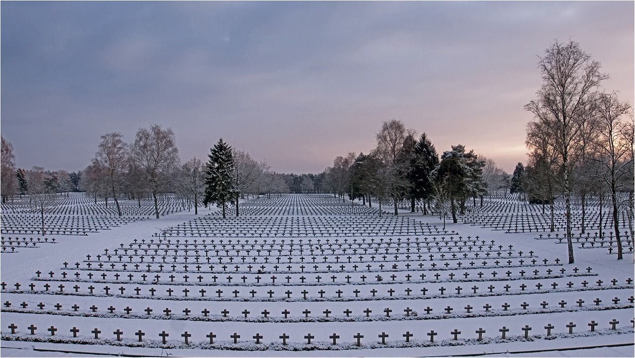 winter  military  cemetery free photo