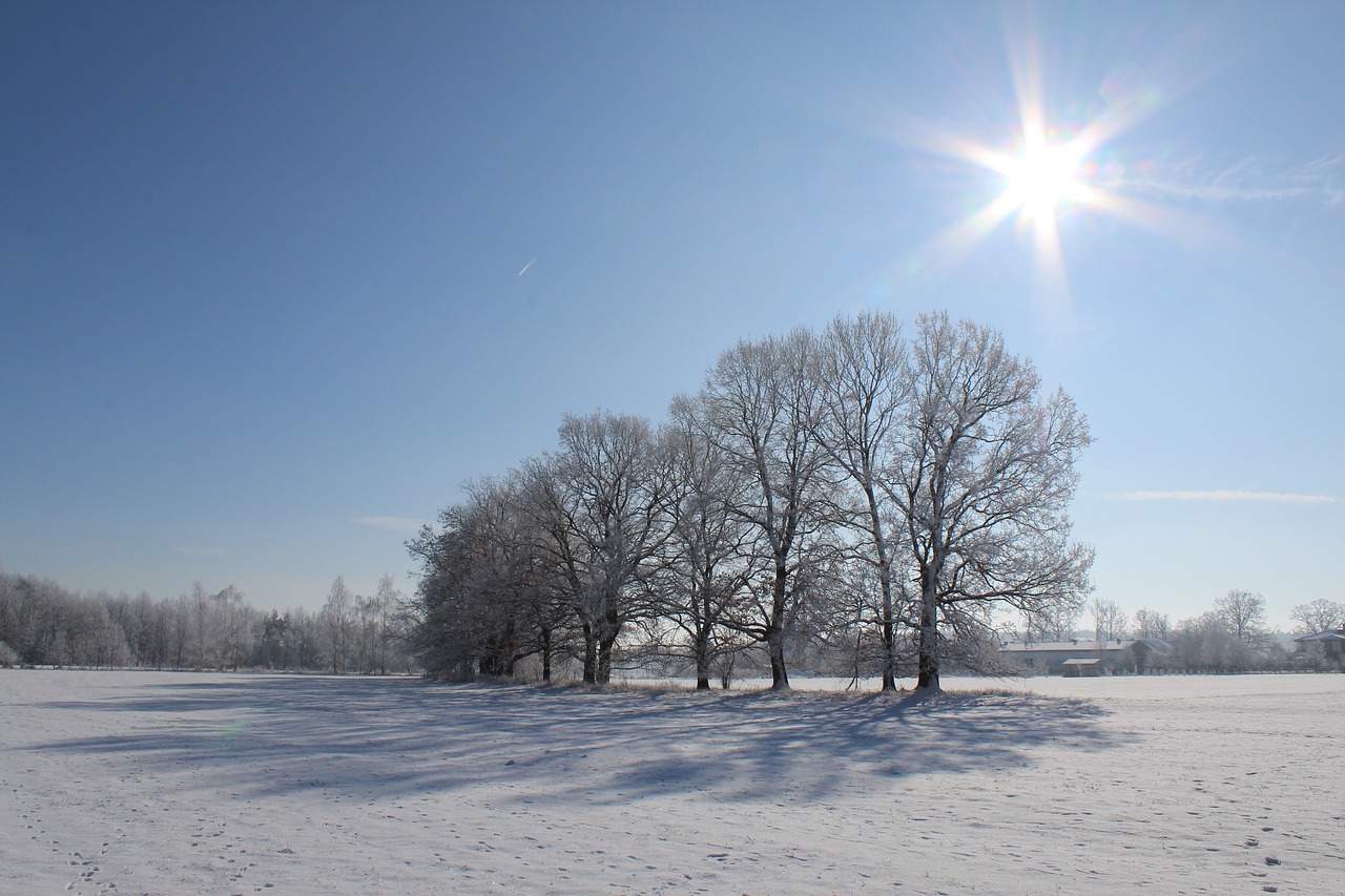 winter  sun  blue free photo