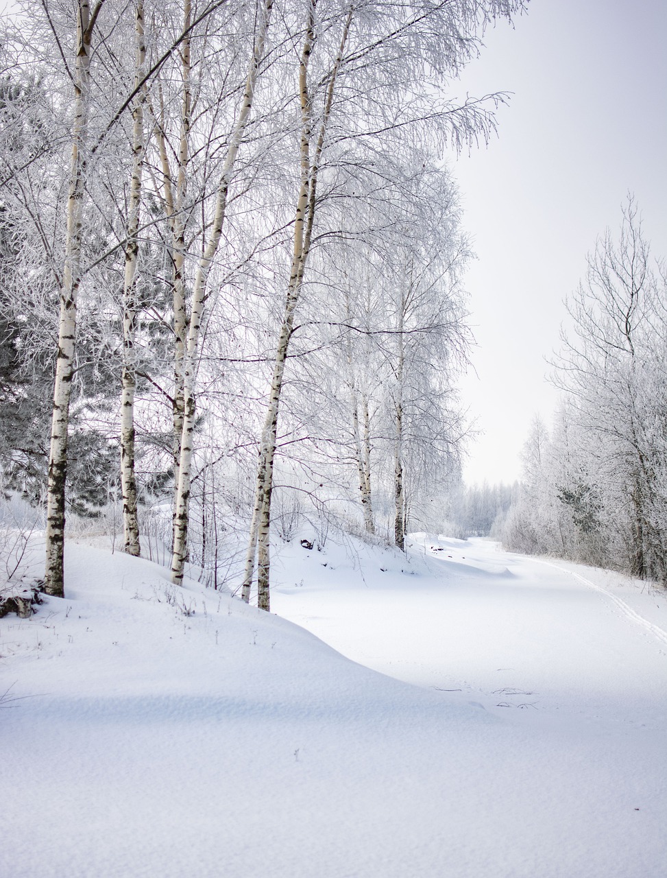 winter  snow  landscape free photo