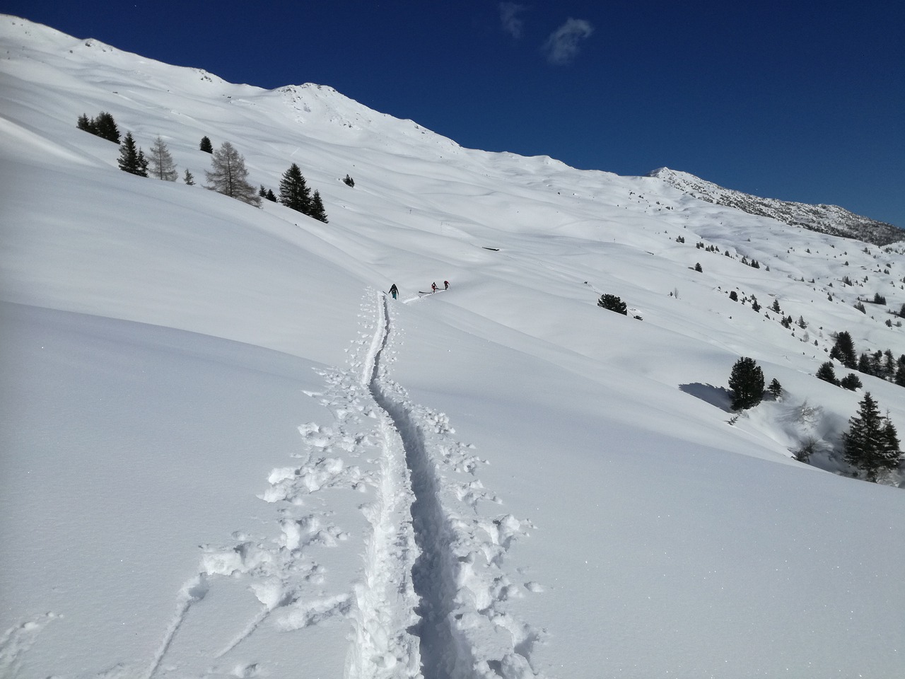 winter  backcountry skiiing  split board tour free photo