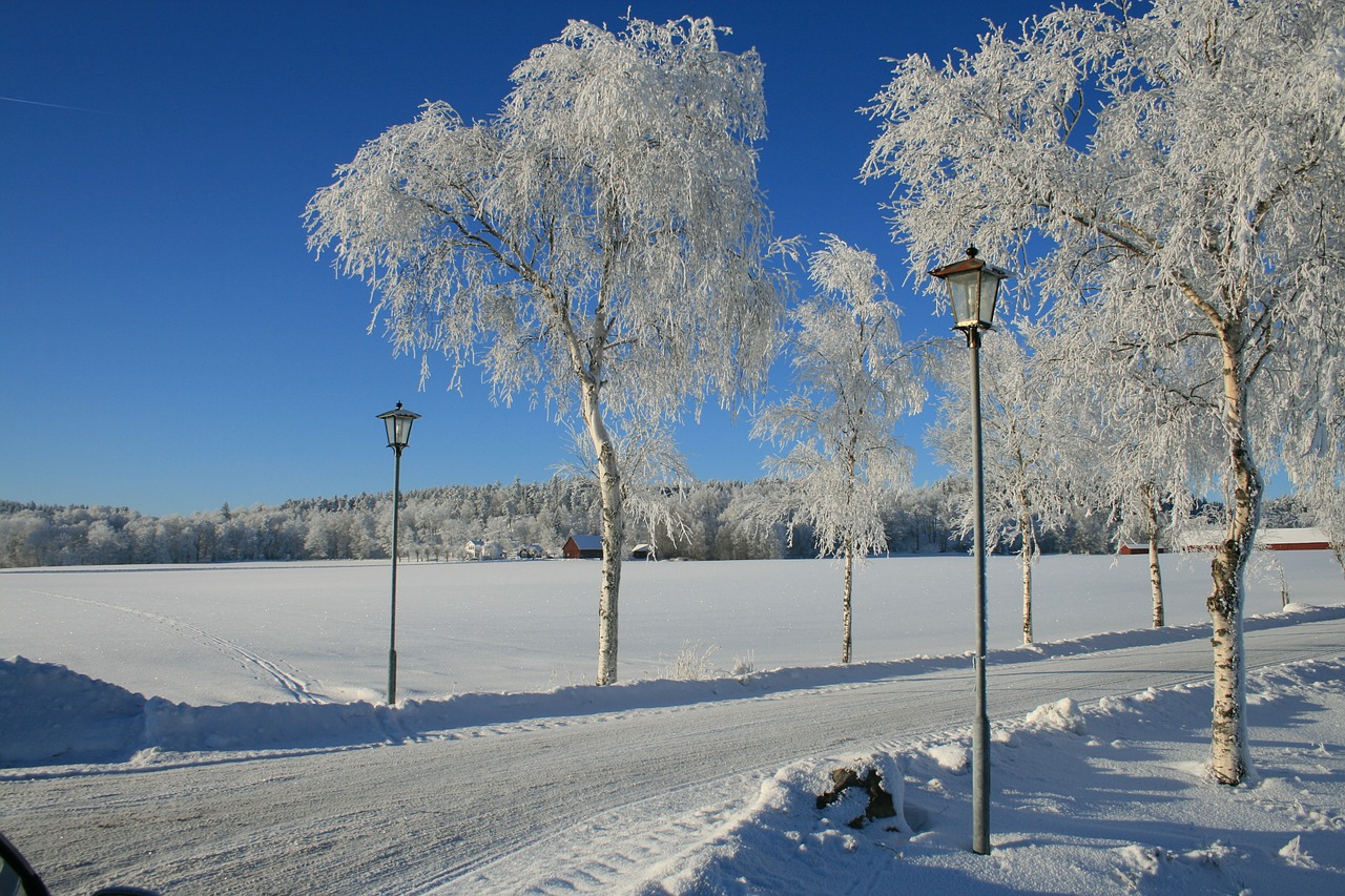 winter snow solar free photo