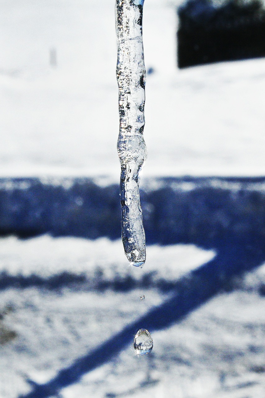 winter icicle drop free photo