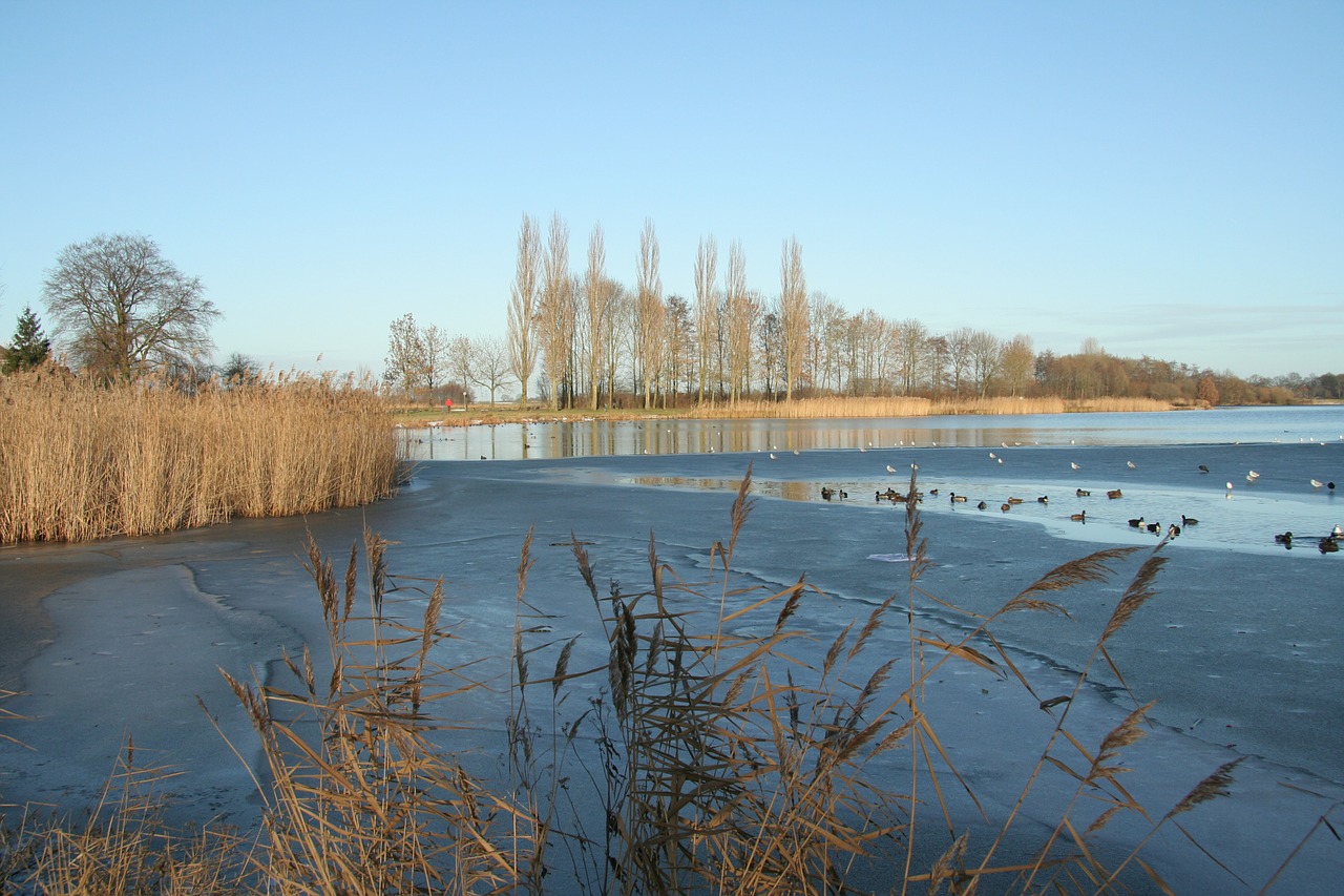 winter frozen lake holland free photo