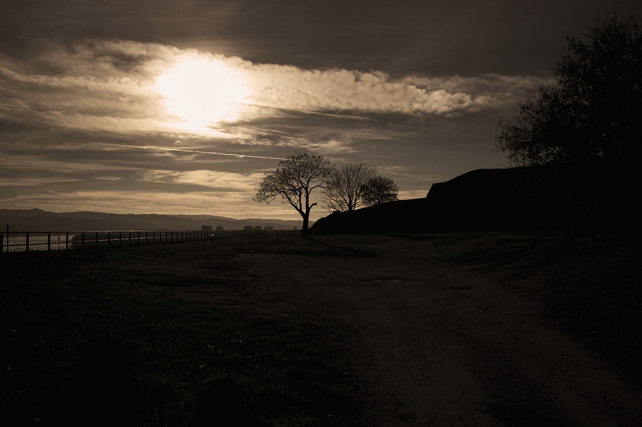 winter tree season free photo