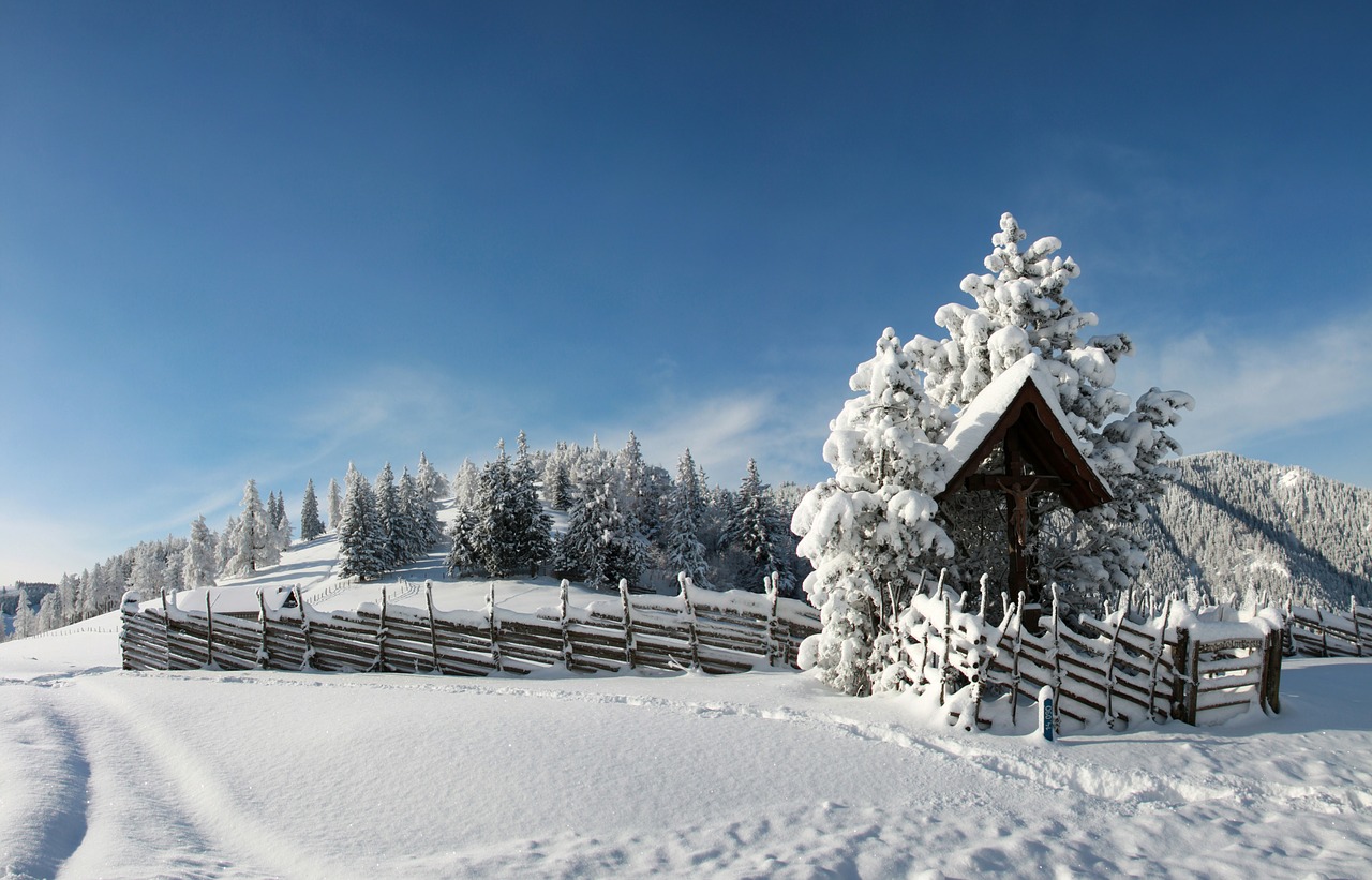 winter snow snowy free photo