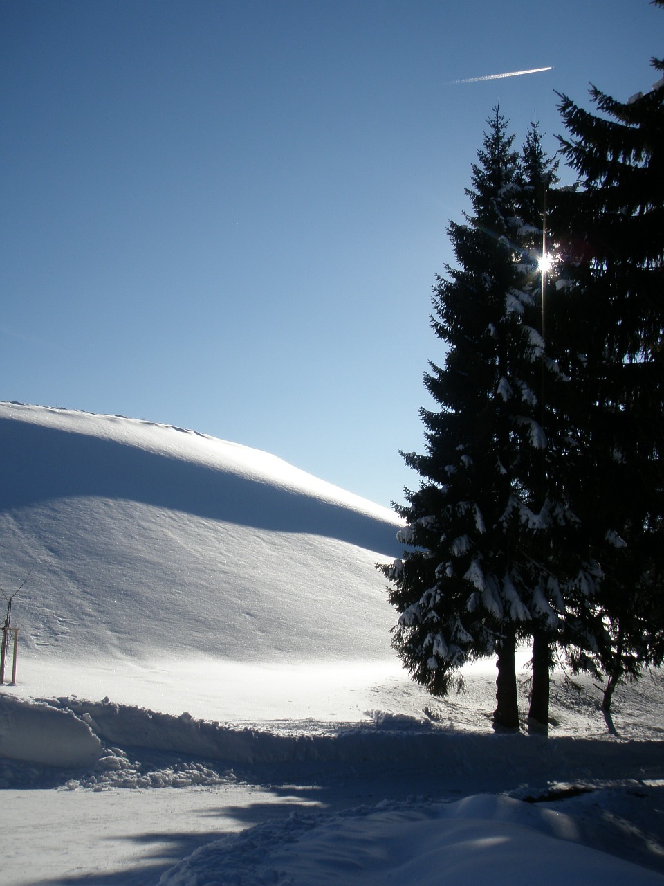 winter snow nature free photo