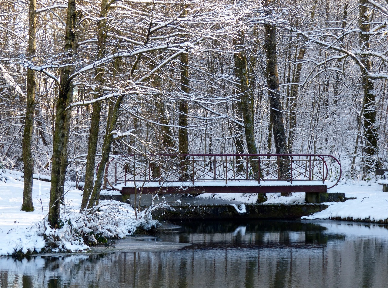 winter snow trees free photo