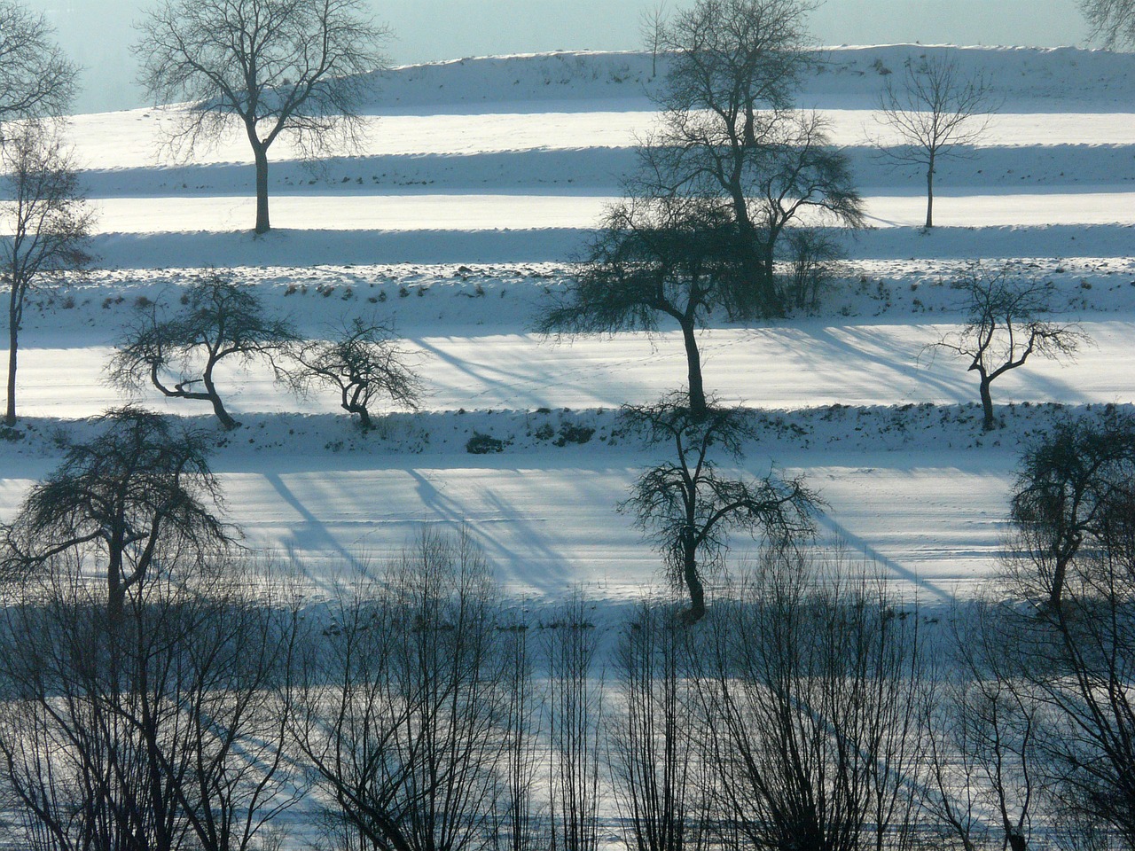 winter snow wintry free photo