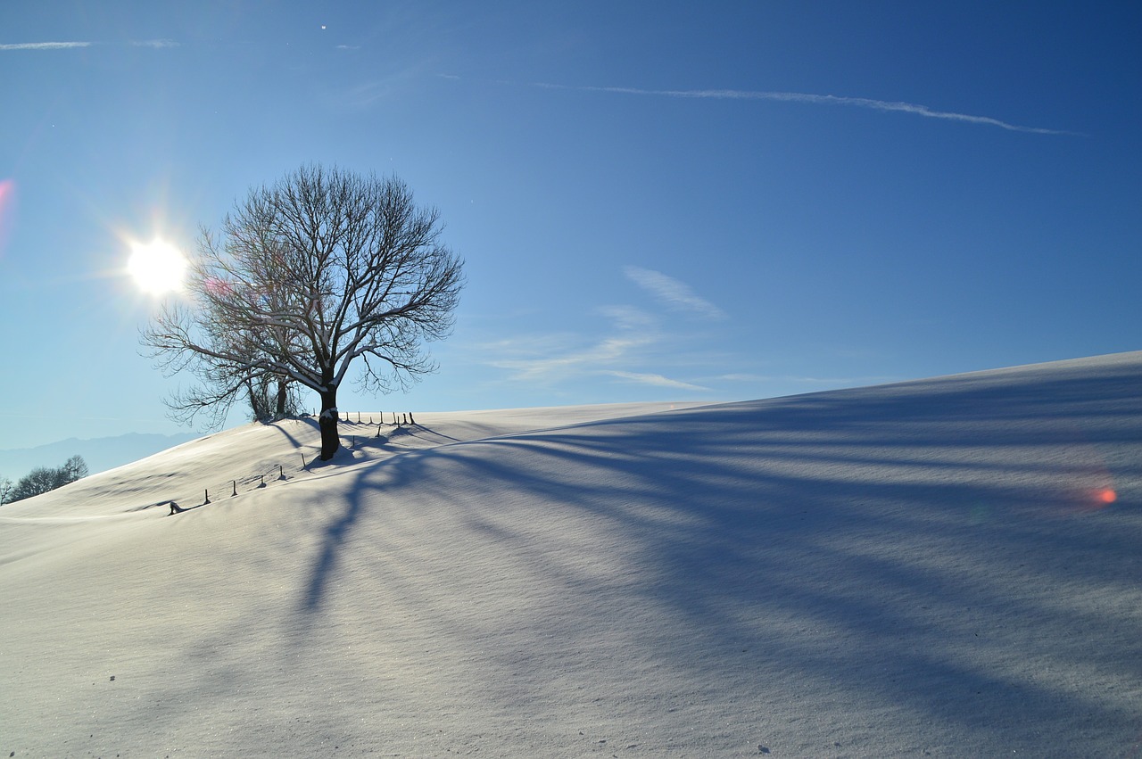 winter snow allgäu free photo