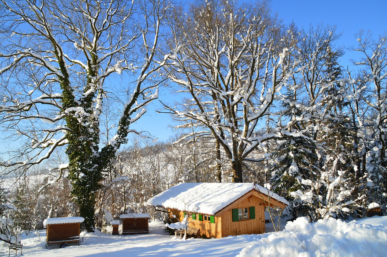 winter snow hut free photo