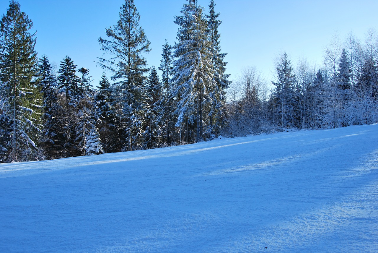 winter snow mountains free photo