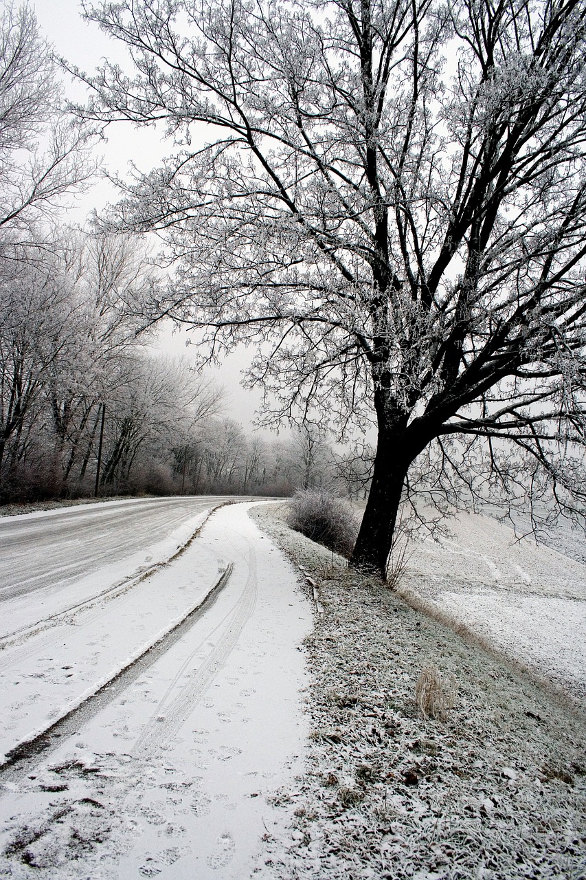 winter snow snow lane free photo