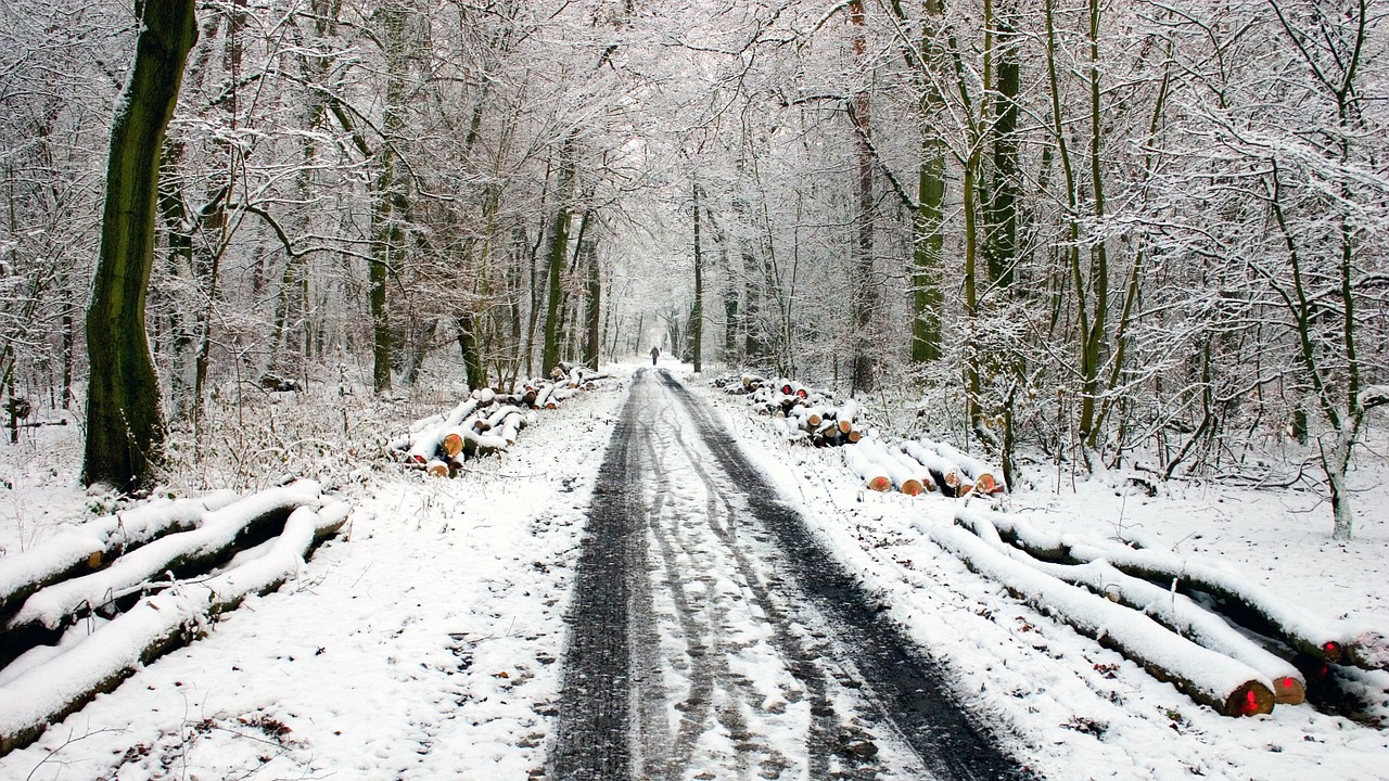 winter snow snow lane free photo