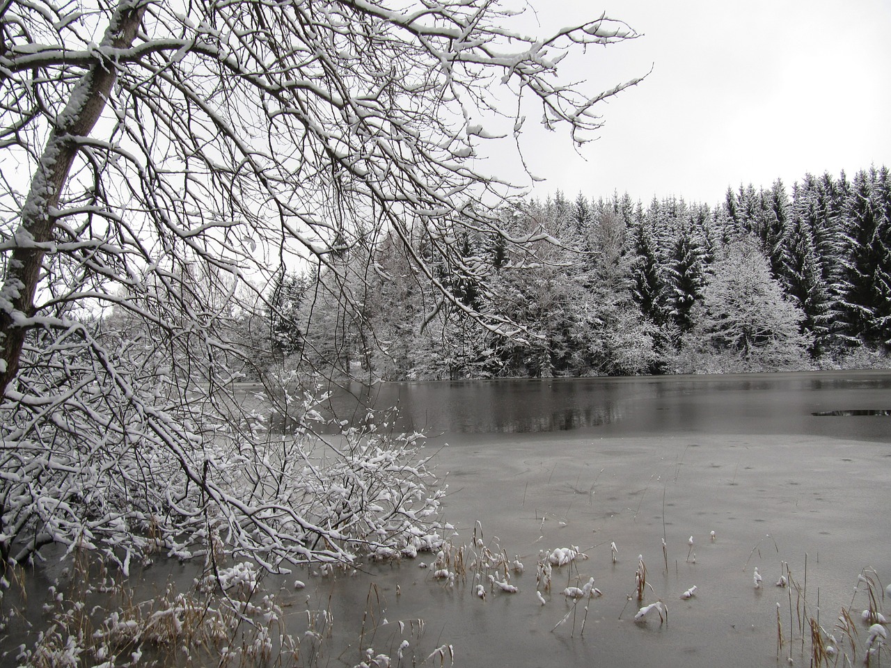 winter lake nature free photo